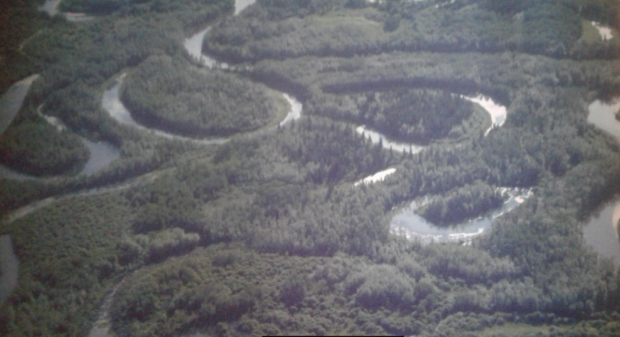 A coloured photo of the boreal forest with a river winding through it.