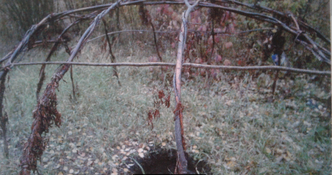 Branches are bent forming a hut-like structure in the forest, a hole is dug in the ground in the center.