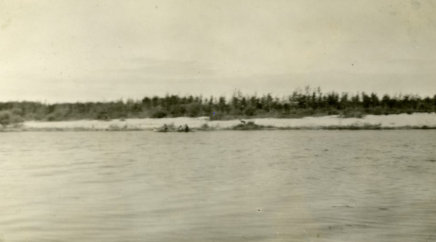 Black and white photo of canoes on a river.