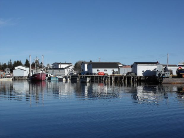 boats and stages in the harbour on a beautiful sunny day in South East Bight