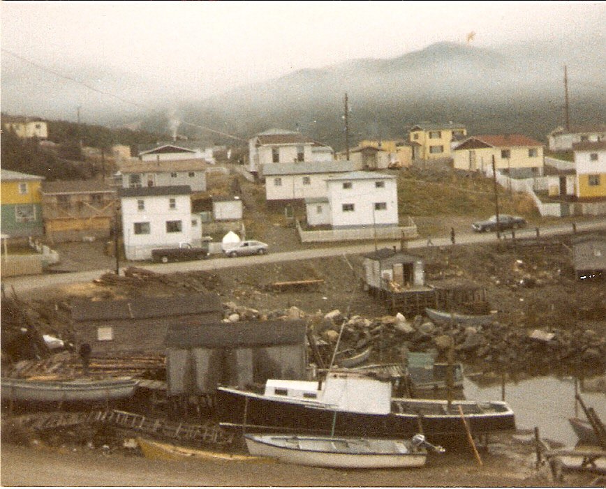 Longliner hauled up in front of three houses at Parker's Cove in the 1970s