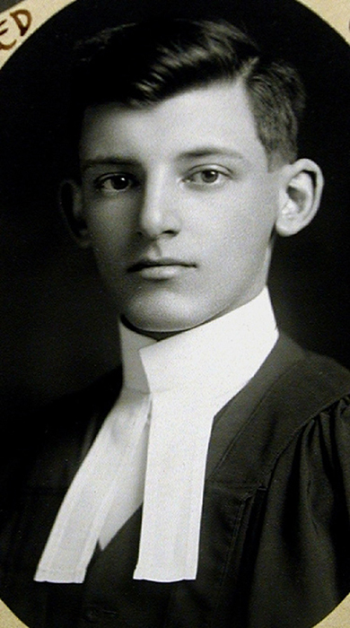 Portrait of a male, young, in court dress.