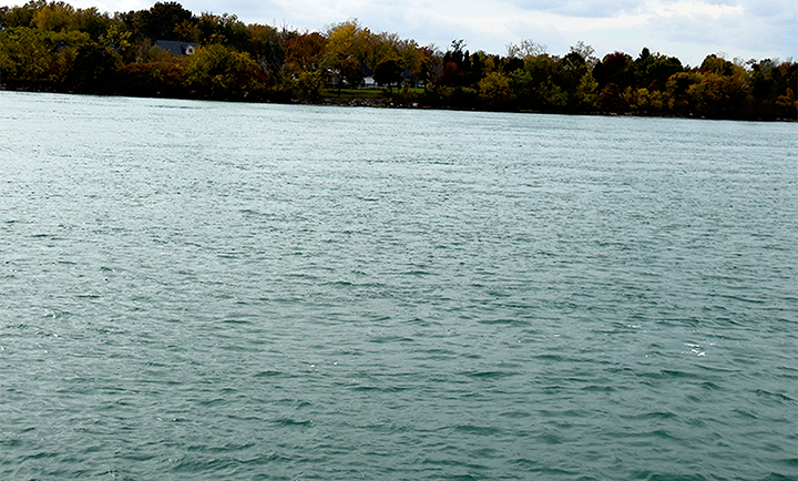 A close-up view of the Detroit River in Amherstburg, with calm water in the foreground and a shoreline lined with autumn trees in the distance under a cloudy sky. Photo by Blessing Ogunyemi.