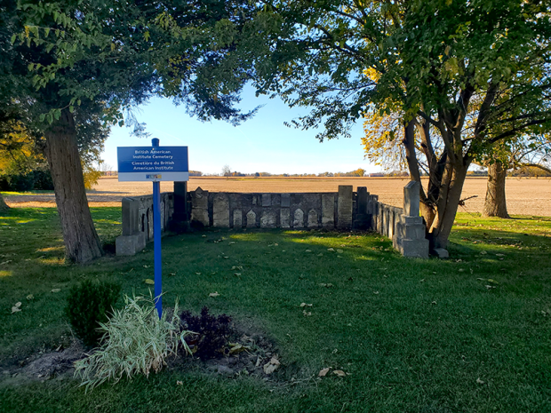 A view of the British American Institute Cemetery at the Josiah Henson Museum of African-Canadian History. A blue historical plaque stands on a grassy area between two large trees, with a small enclosure of weathered headstones behind it and open fields stretching toward the horizon.