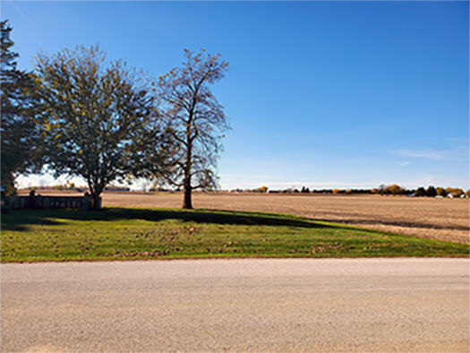 An expansive open field featuring two mature trees at the Josiah Henson Museum of African-Canadian History, viewed from across a quiet road under a clear blue sky.