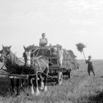 Haying Season at Blais Farm, Saint-Marc-de-Figuery