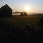 Preissac Landscape, in the Late 70s