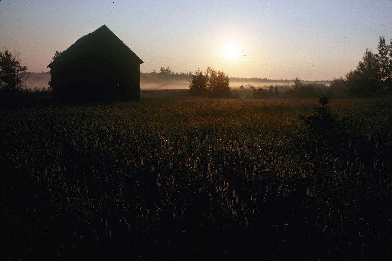 Vue extérieure d'un paysage rural, à l'aube, sur un champ et un bâtiment encore très peu éclairé. Une légère brume s'élève.