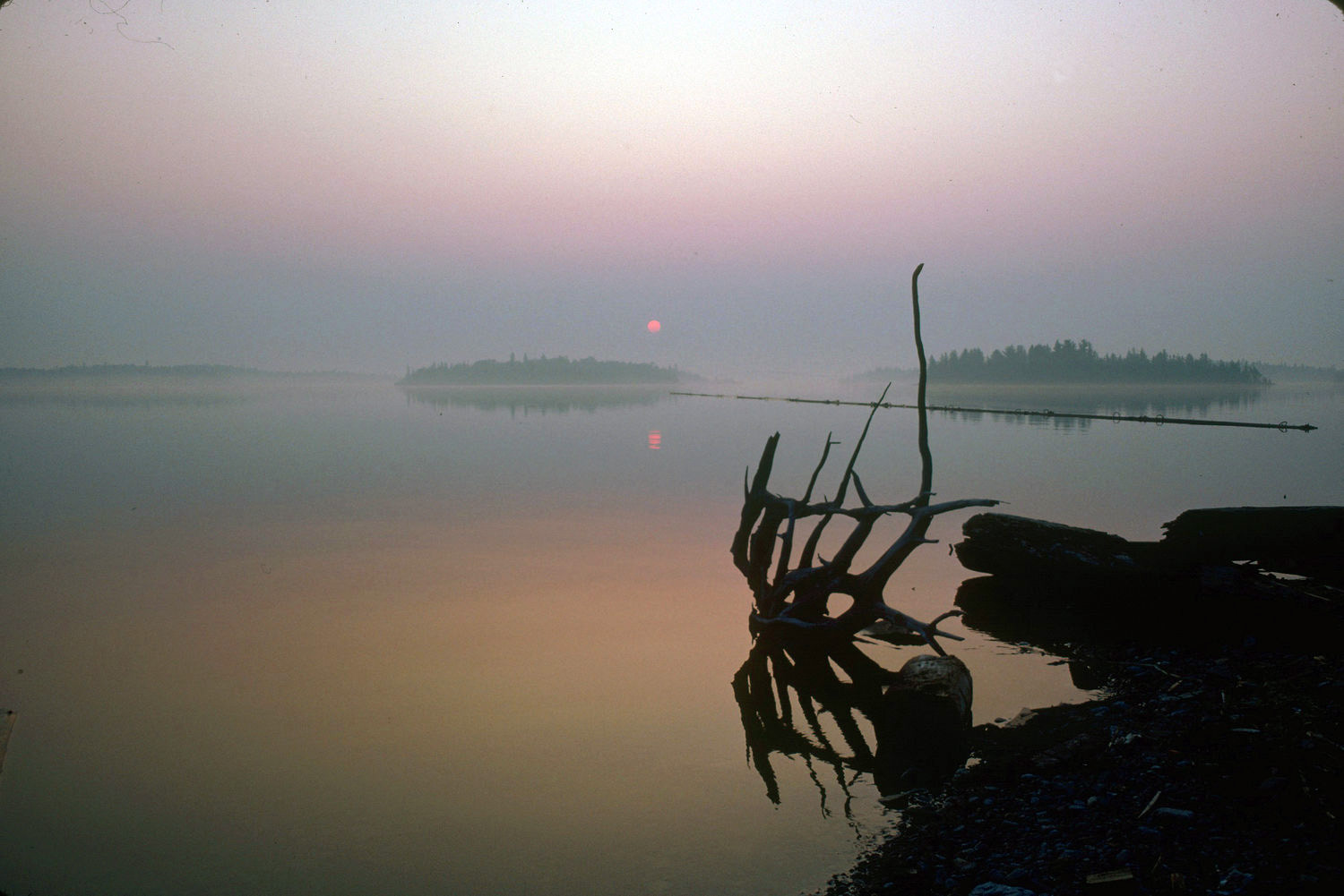 Colour photograph taken at dusk of a view of a lake with islands and floating pieces of wood.