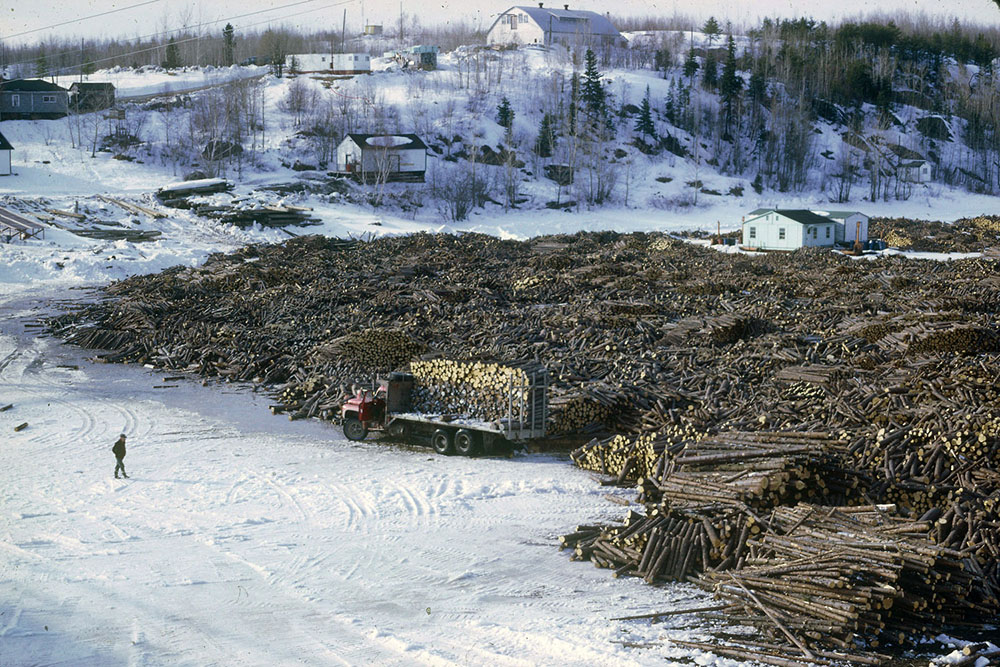 Coloured picture of a general view of wood skidding.