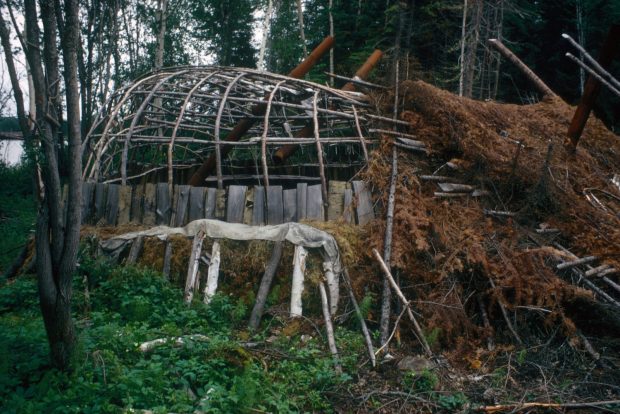 Color photograph of the structure of a building lying in the forest.