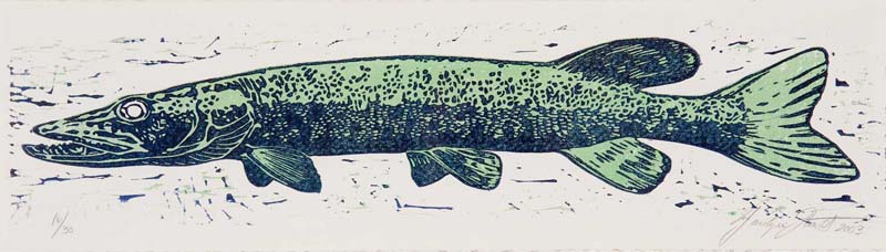 Print showing the side view of a pike on a white background.