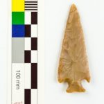 Projectile Point