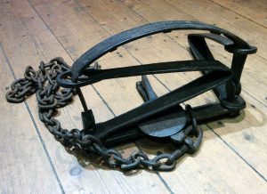 Picture of a bear trap made of steel and attached to a chain.