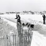 Dogsled Race During Rouyn-Noranda’s Winter Carnival