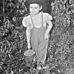 Young Girl With Her Blueberry Basket