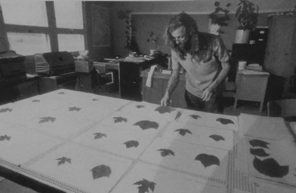 Photographie noir et blanc d’un homme qui organise un herbier disposé sur une grande table dans un bureau.