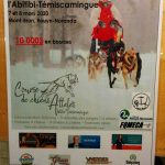 Advertising Poster Showing a Sled Dog Race