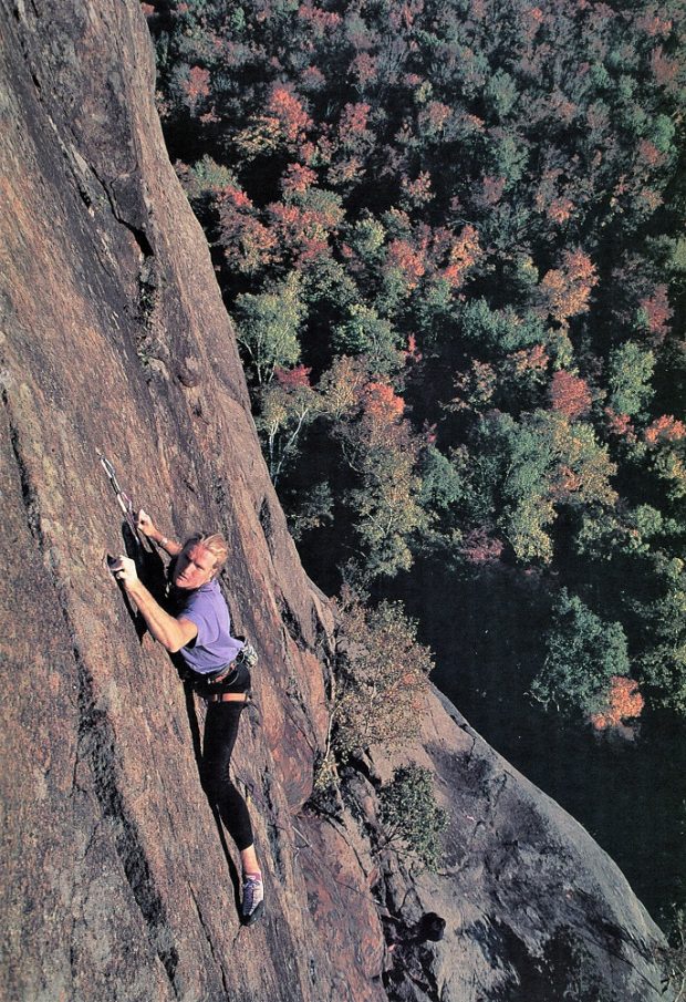 Close-up in colour of a climber against a background of the forest in its fall foliage.