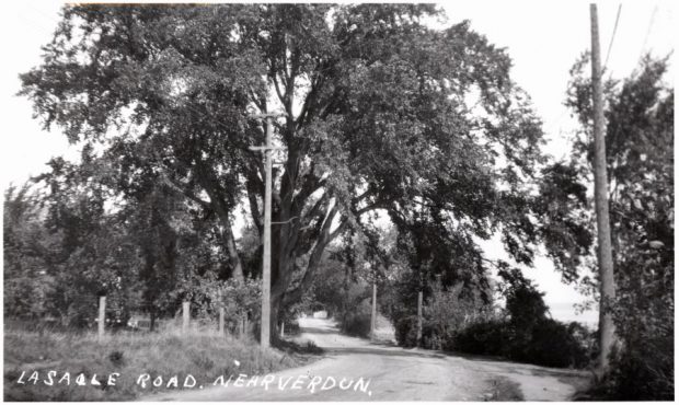 Black and white photograph of a dirt road lined with mature trees. A farm fence runs along part of the road.