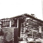 A Cabin in Ruin