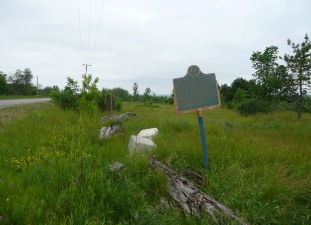 A metal plaque at the side of the road stands in tall grass near decaying logs.
