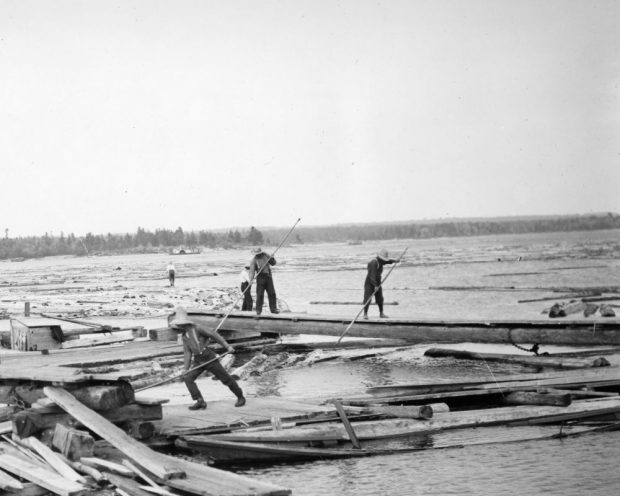 Men with long poles push logs into place at a sorting boom on the river.