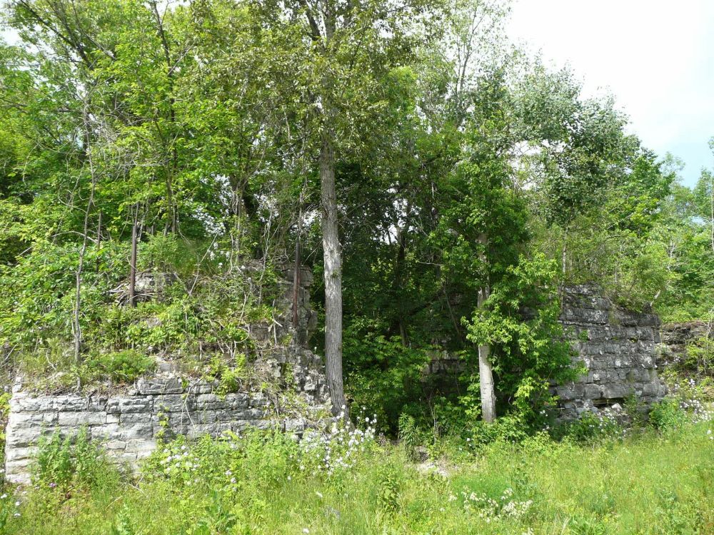 Trees and overgrown brush partially obscure stone foundations.