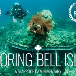 Exploring Bell Island Shipwrecks with Jill Heinerth