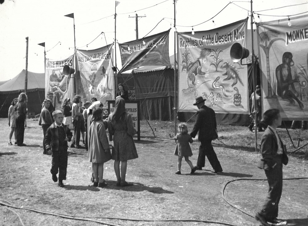 Black and white photo of people gathered around bannerline for an exotic animal sideshow featuring large painted banners with monkeys, reptiles and other animals with a person standing at a podium in the background - Une photo en noir et blanc d’une foule à une fête foraine parmi de nombreuses tentes; on voit un carrousel en arrière-plan