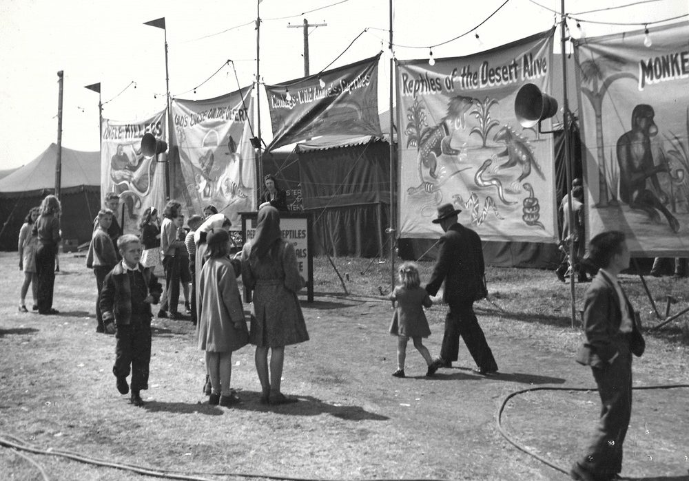 Black and white photo of people gathered around bannerline for an exotic animal sideshow featuring large painted banners with monkeys, reptiles and other animals with a person standing at a podium in the background