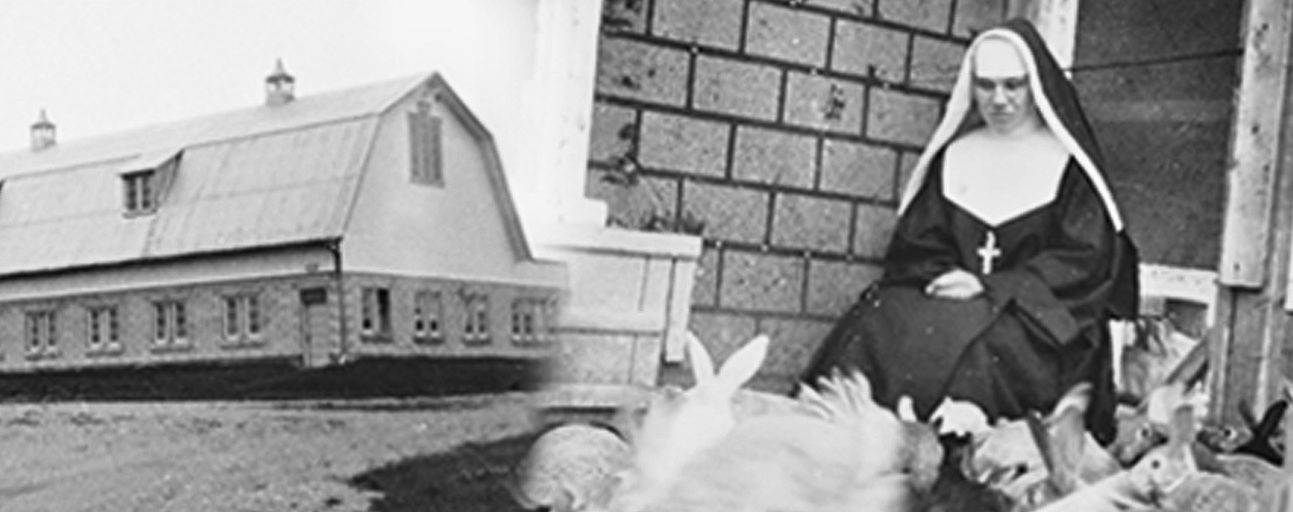 Greyish photo of a building/Black and white photo of a nun surrounded by rabbits.