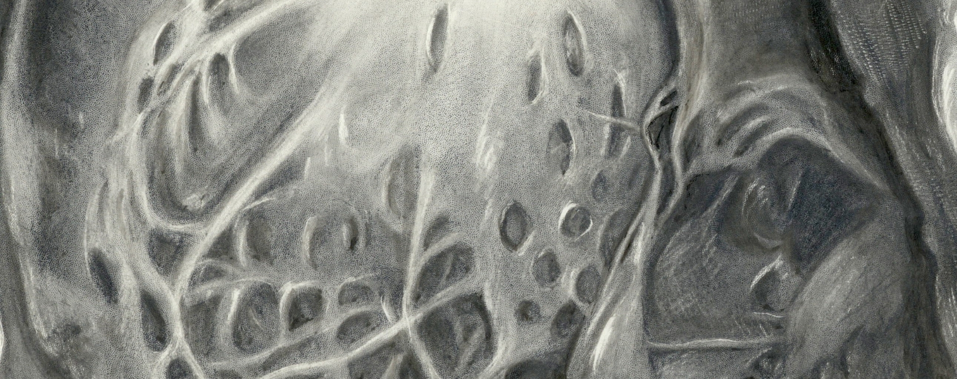 Black and white illustration showing the aortic valve.